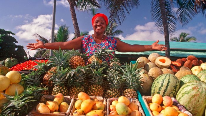 What is the importance of coconuts in la república dominicana