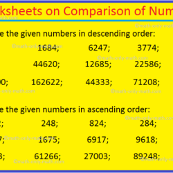 Comparing and ordering real numbers worksheet answer key